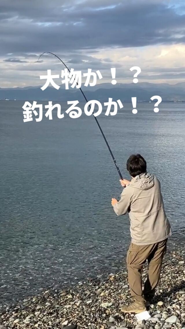 SABAKIBAスタッフが釣り上げた！？
＃静岡 #千本浜海岸 #沼津港 #海釣り #泳がせ釣り #釣果グラム #釣果 ＃釣った魚で料理 ＃魚捌き ＃魚捌く